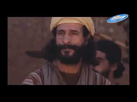 LACHITATU LAMULUNGU WA 31 PACHAKA