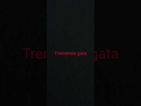 tremenda gata elpabli