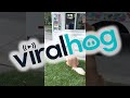 Freddie The Dog Loves The Ice Cream Truck ViralHog