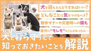 犬と暮らしている／暮らしたい人必見！『人も犬も幸せに暮らすまちへ』