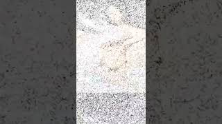 Model 2022 best bakat Short clip #trending