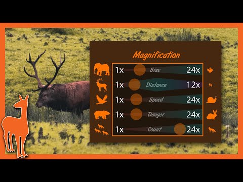 Optics Guide 3/17 - Scope Magnification and its Unintended Effects