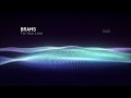 Brams - 'For Your Love' / PARADIGM