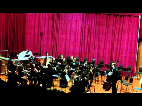 Intermezzo - The College of Saint Rose Chamber Orchestra - November 23, 2013