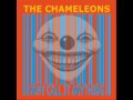 The Chameleons - Lufthansa 