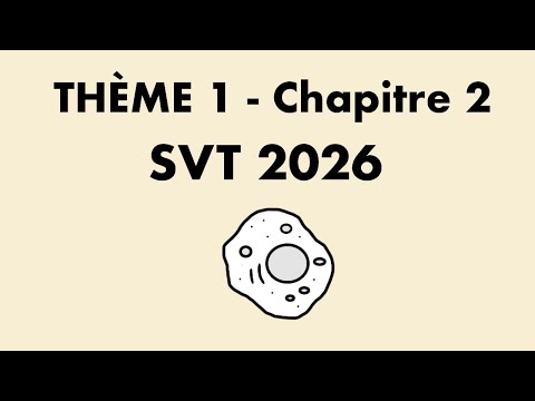 REPLICATION DE L’ADN ET VARIABILITÉ GÉNÉTIQUE - SVT - PREMIÈRE