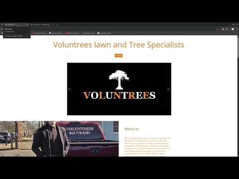 Voluntrees audit