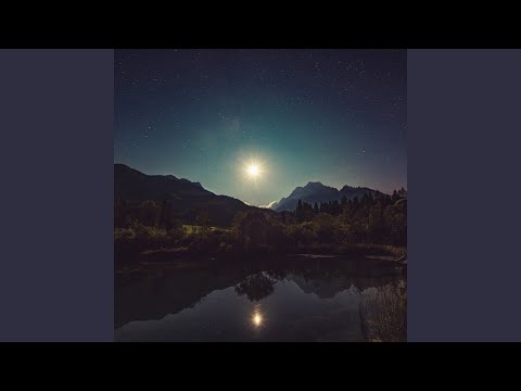 Brief But Spectacular