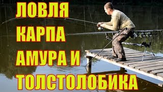 Пруды для рыбалки белгородская область