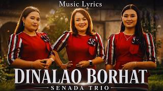 Download lagu Senada Trio - Dinalao Borhat mp3