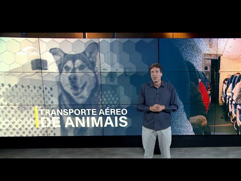 Em Discussão: o debate sobre o transporte aéreo de animais