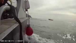 preview picture of video 'Delfines desde barco en El Puerto de Mazarrón'