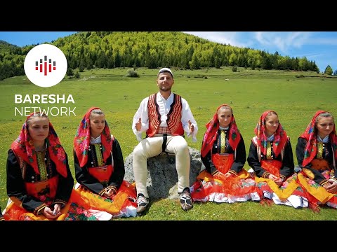 Fatjon Dervishi - Ani flokt e cucës