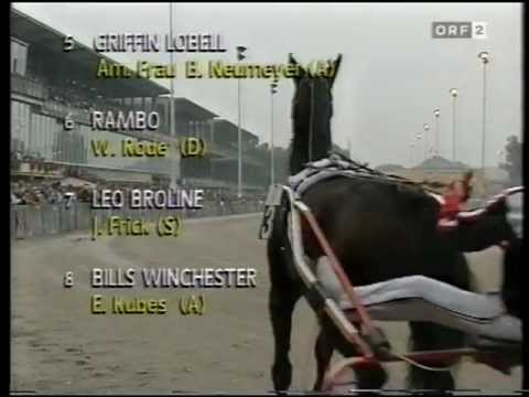 Hunyady-Gedenkrennen 1993 - Vor dem Rennen