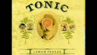 Tonic - if you could only see lyrics