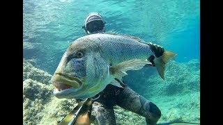 Spearfishing Croatia - "Destination unknown" by Max 2018 Spearfishing Croatia - "Destination unknown" by Max 2018