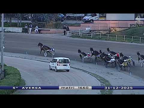 Aversa trotto 31 Dicembre 2025 - 5° Corsa