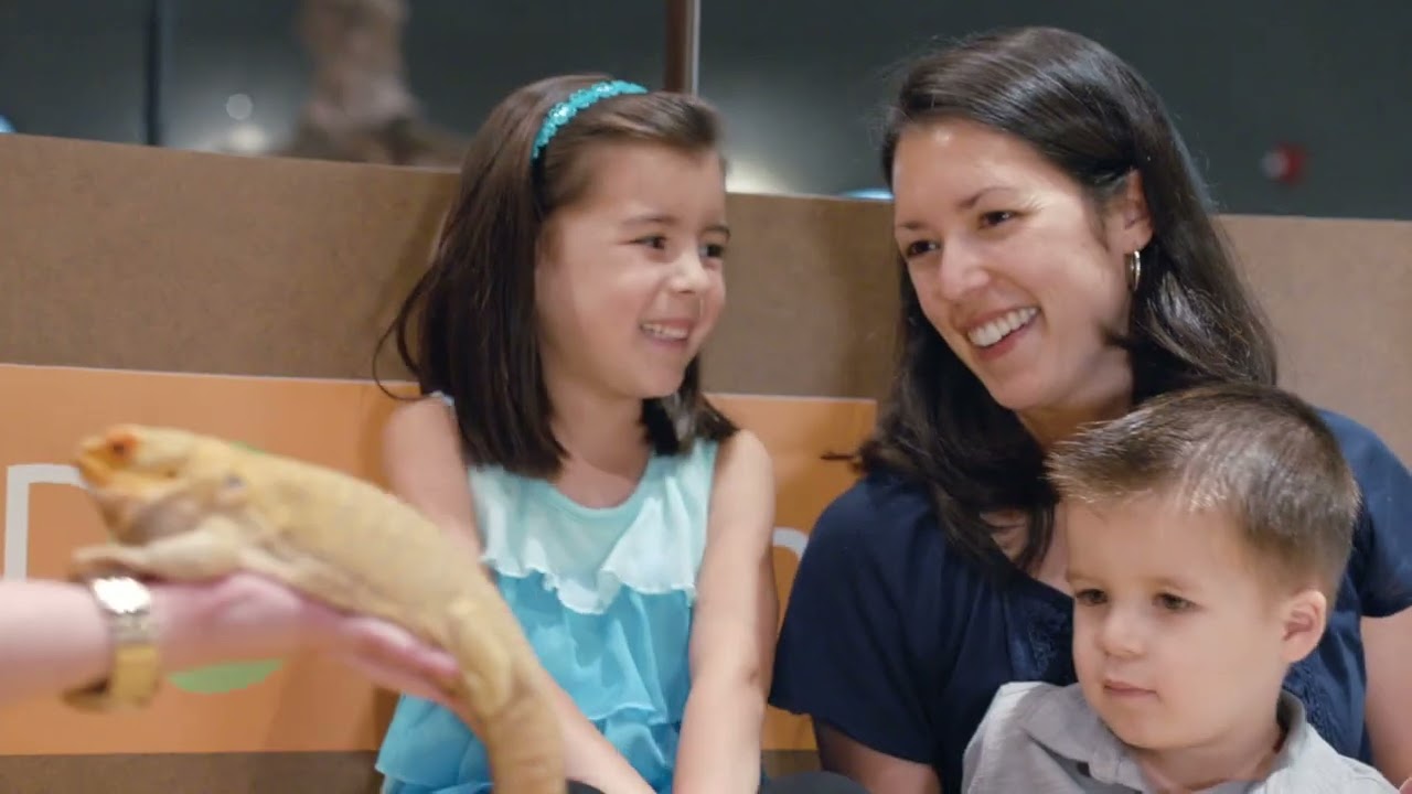 DelawareScene.com Promo Video