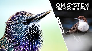 Video thumbnail for Review of the OM System 150-400mm f/4.5 | Gear Review | Hands-On Field Test by TJ Photography