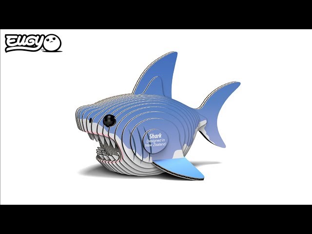 Video Teaser für 19 Shark Eugy Instruction