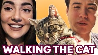 Walking Our Cat For The First Time • Saf & Tyler thumbnail