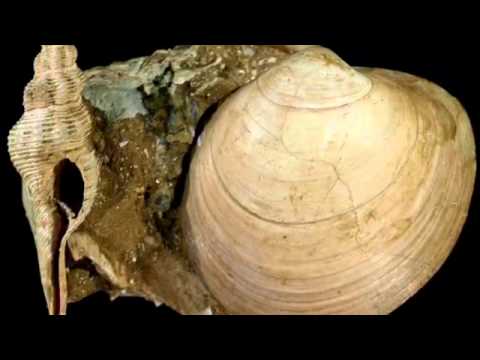 Lugagnano in vetrina: I Calanchi