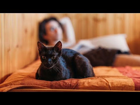 video frame placeholder