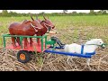 How To Make Horse Cart With Wood Color DIY Woodworking Projects