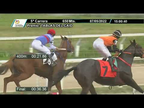 220507 c05 -  MAGIC DISNEY - HIPODROMO LAS PIEDRAS