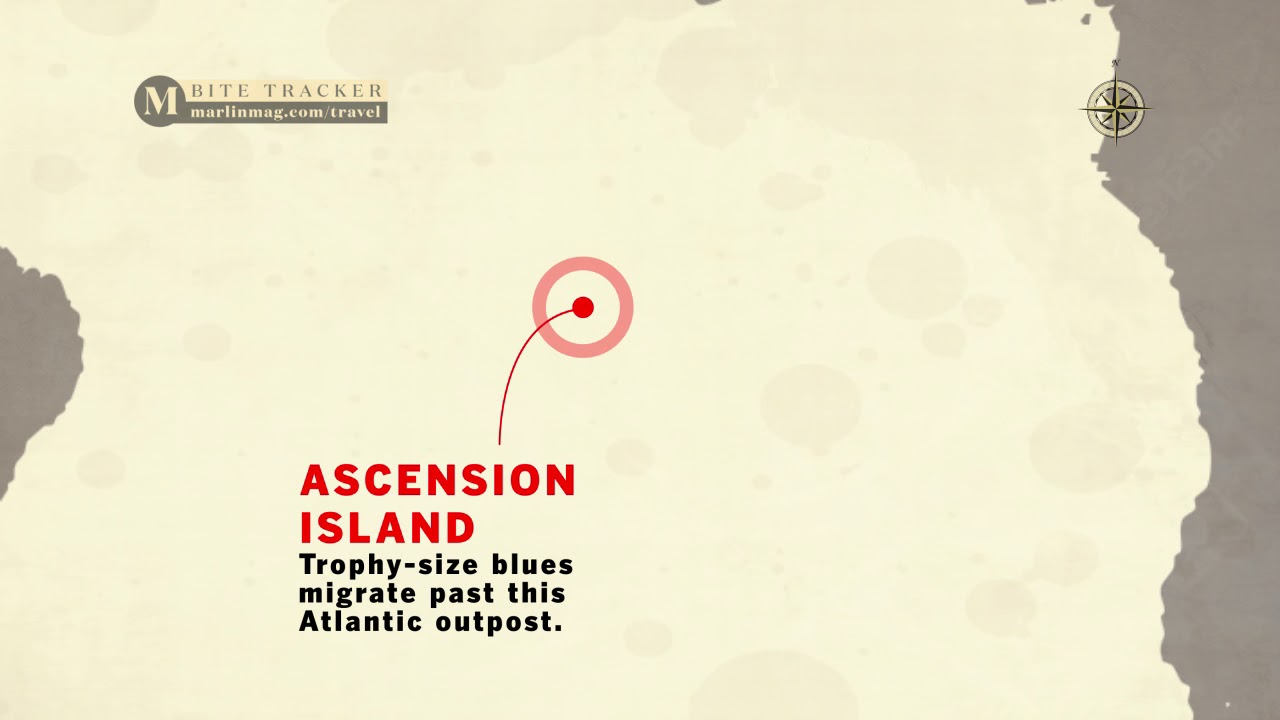 Where the Bite Is: December/January