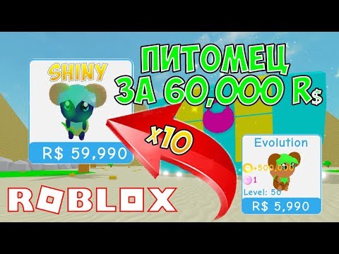 60000 РОБУКСОВ ЗА ПИТОМЦА СИМУЛЯТОР ТРЕНИРОВКИ ПИТОМЦЕВ! ОБНОВЛЕНИЕ ОАЗИС ROBLOX