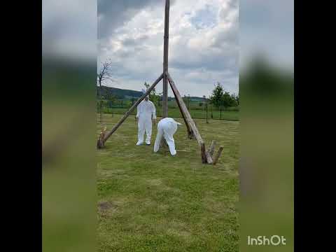 Kácení Máje 2022 SDH Palonín v podání Boba a Bobka