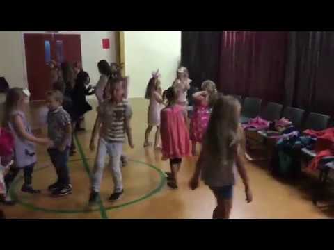 Disco Highlights - Halcombe School - June 2018