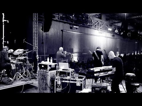 Nighthawks  - Blue Steel Silver