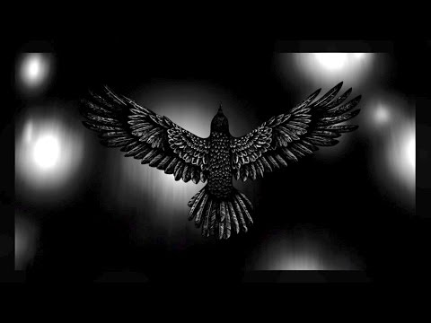 Team Avantgarde - Vogel // JUICE Premiere