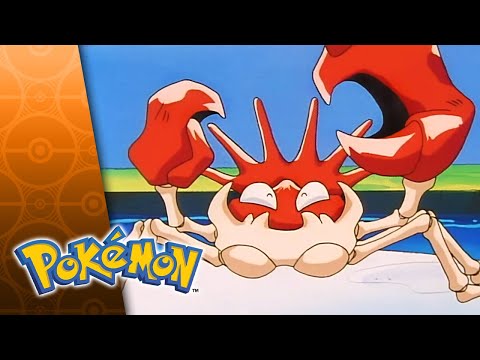 Ring frei zur Runde 1 | POKÉMON  – GANZE FOLGE 21 | Staffel 2