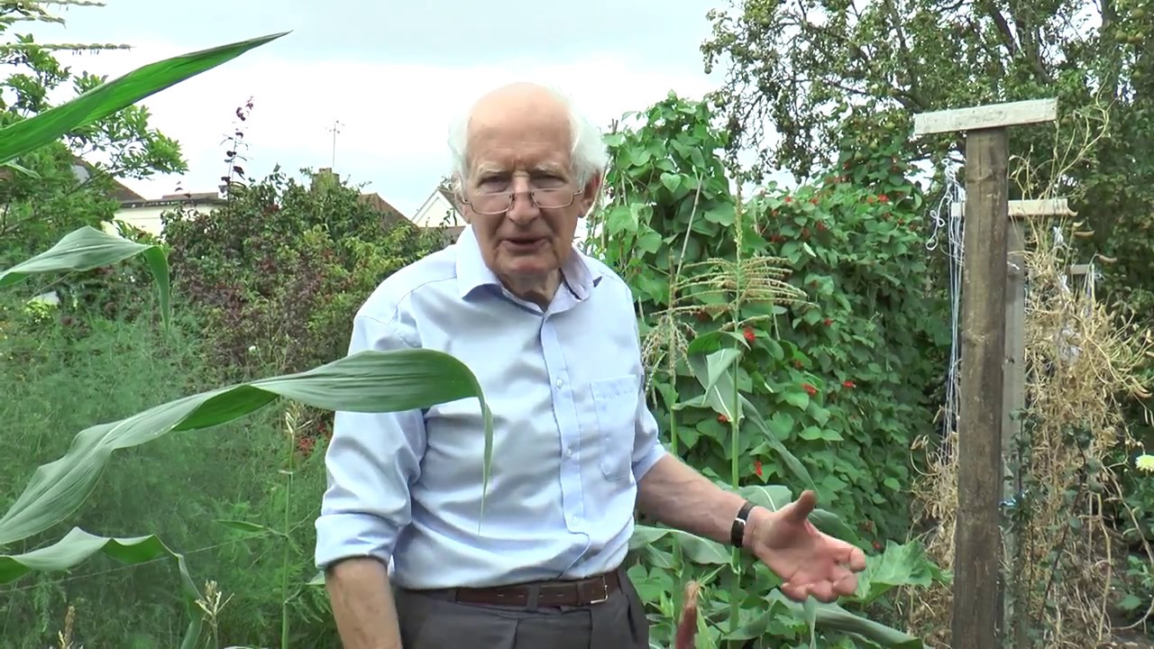 Planting Vegetables in Succession