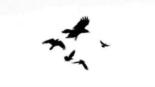 Sin with a Grin - Shinedown