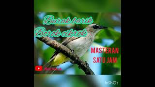 Download lagu Burak barik borok cikrok, masteran satu jam mp3
