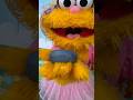 Zoe Is Trying To Start A New Trend With Rocco Sesame Place PA Sesameplace Trending Shorts