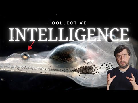 The Intelligence of Our Cells with Michael Levin