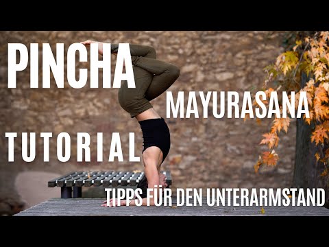 PINCHA MAYURASANA TUTORIAL | TIPPS FÜR DEN UNTERARMSTAND | PFAU-YOGA POSE | REAL-TIME