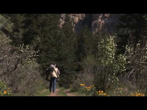 Soundtracker: A Portrait of Gordon Hempton OFFICIAL TRAILER