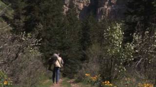Soundtracker: A Portrait of Gordon Hempton OFFICIAL TRAILER