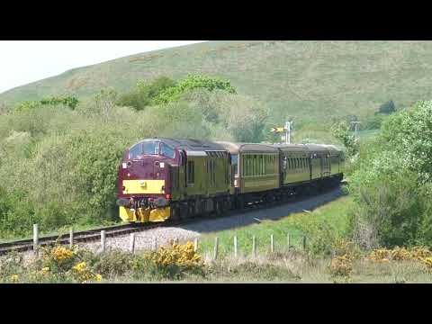 37706 climbing through Corfe Common   09 05 2025