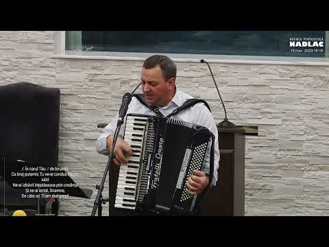 Danut Aschilean - Prin lunga noastra pribegie