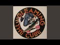 Gleaming The Cube