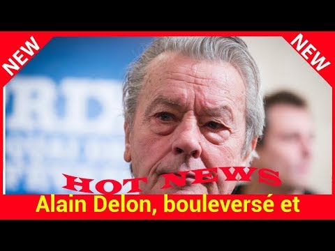 VIDEO – Alain Delon, bouleversé et énigmatique quand il évoque la mort de Dalida