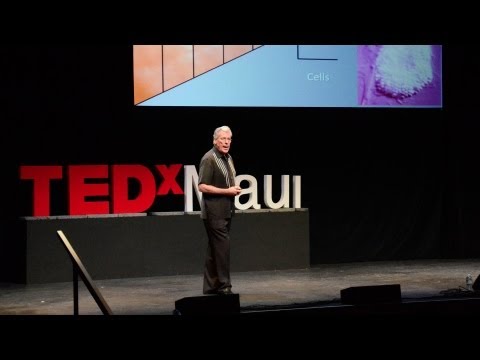 TED】ゲイリー・グリーンバーグ私たちの世界の美しいナノの細部 (Gary Greenberg: The beautiful nano details of our world) (【TED】Gary Greenberg: The beautiful nano details of our world (Gary Greenberg: The beautiful nano details of our world))