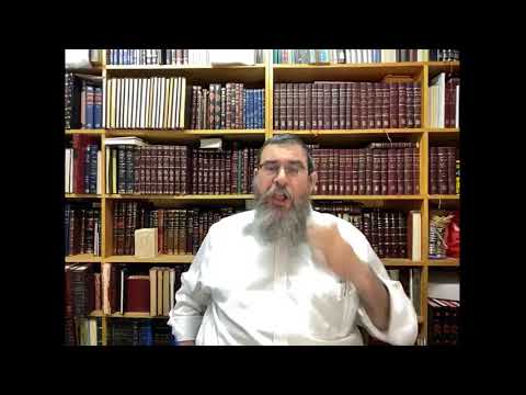 Live Shoresh Mitzvas Hatefilla  perek 7 , Class 19  - Rabbi Paltiel